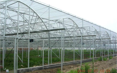 Green houses